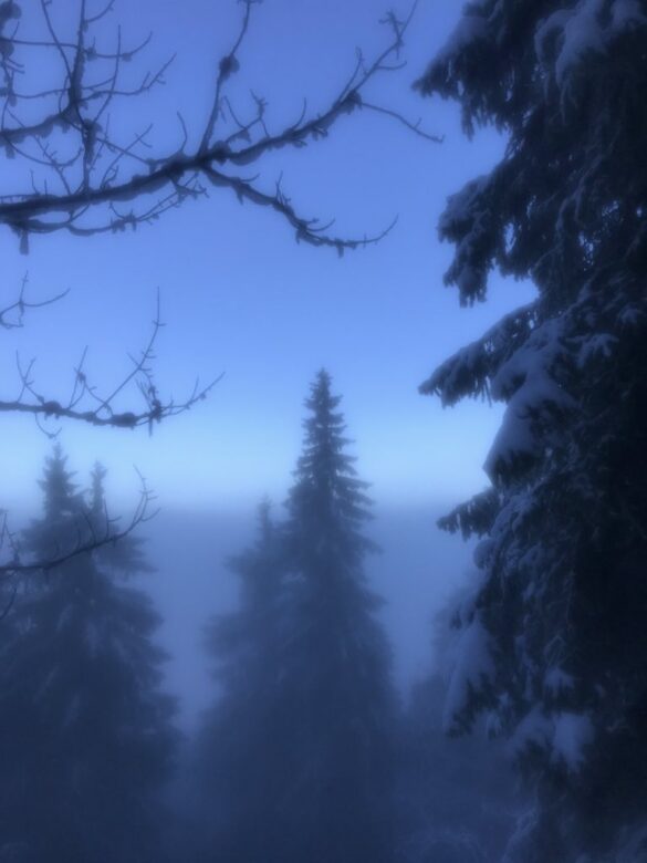 Nebelgrenze