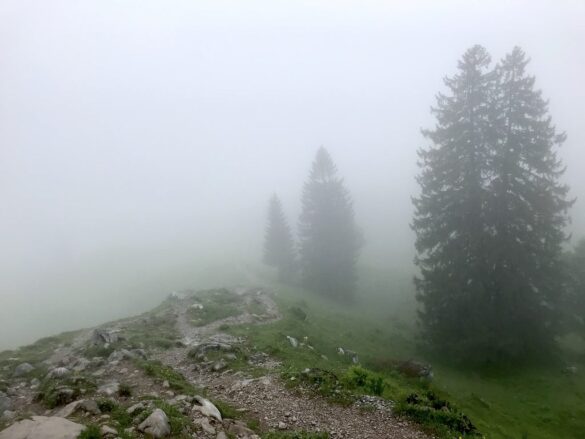 Wanderweg im Nebel